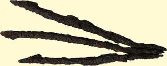 Fish spear from Tano-Seto Mounded Tomb Group