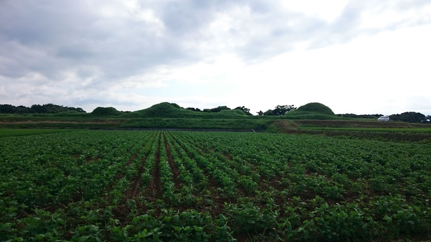 新原・奴山古墳群の写真