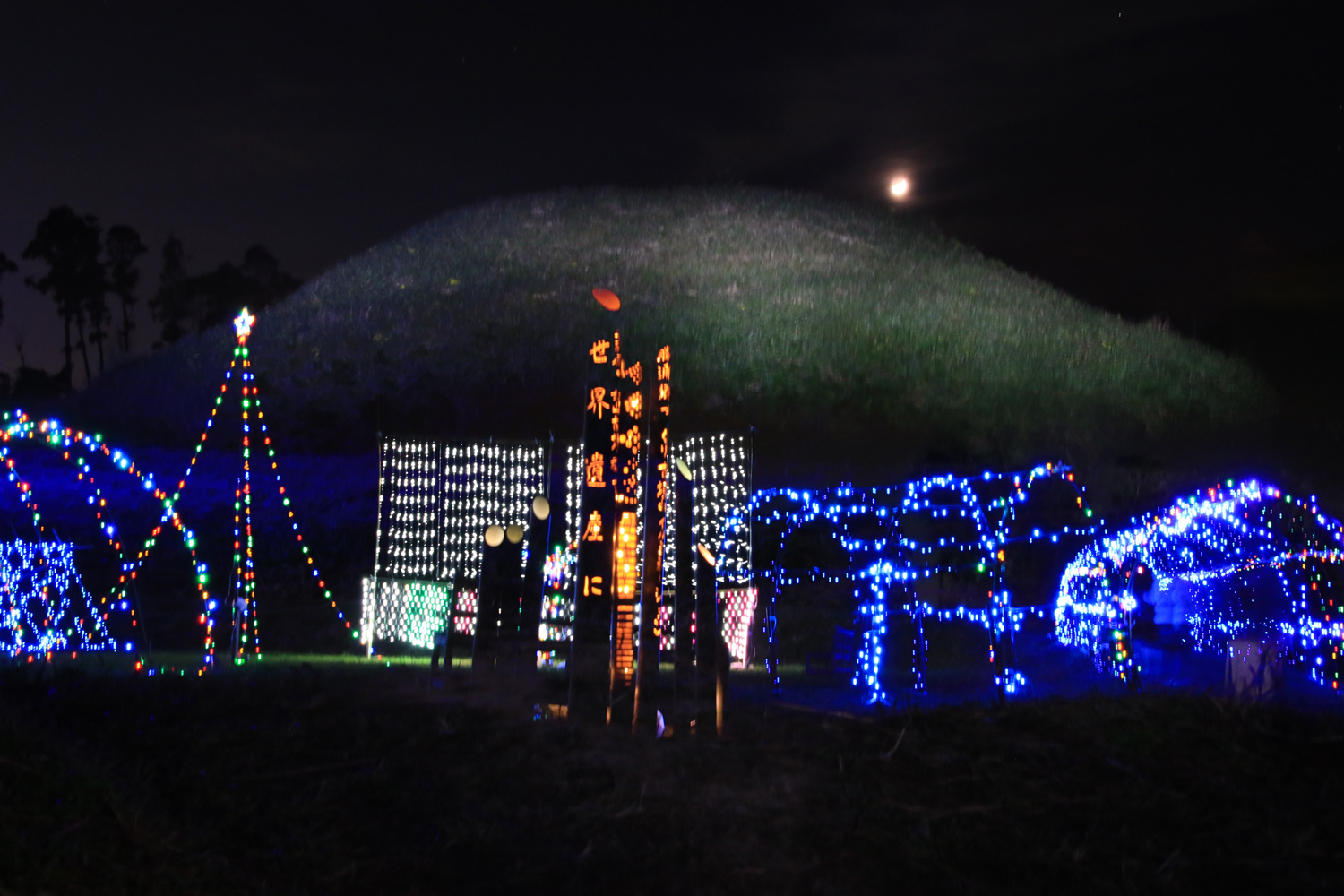 【優秀賞】月あかりの夜 撮影：伊藤忠