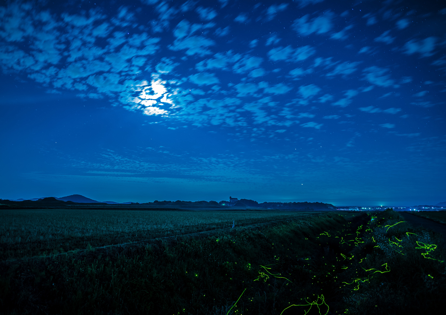 【優秀賞】蛍舞う月夜の古墳群 撮影：青木宏成