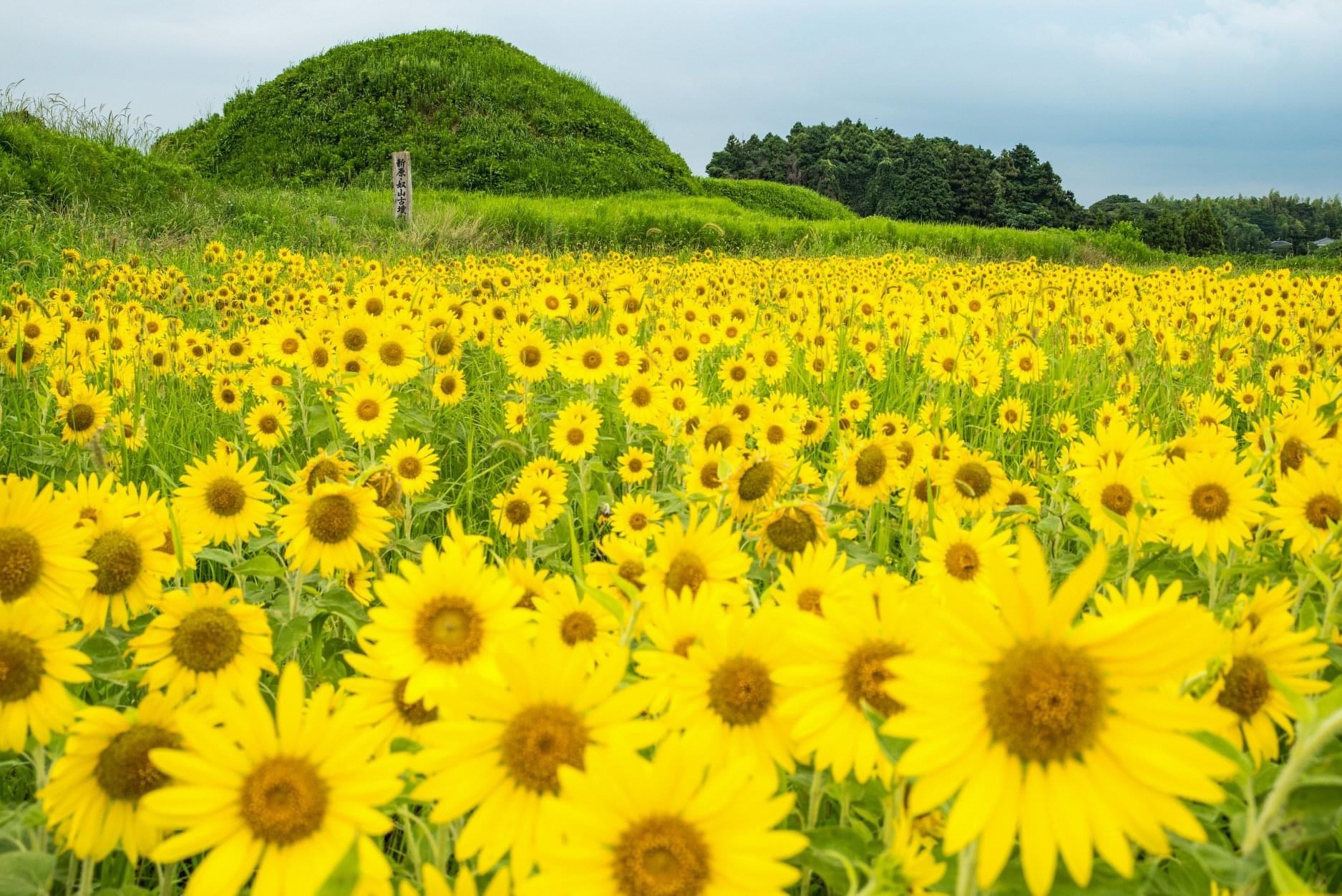 入賞④ 撮影：島村直幸