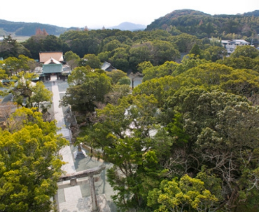 Picture：Hetsu-miya, Munakata Taisha