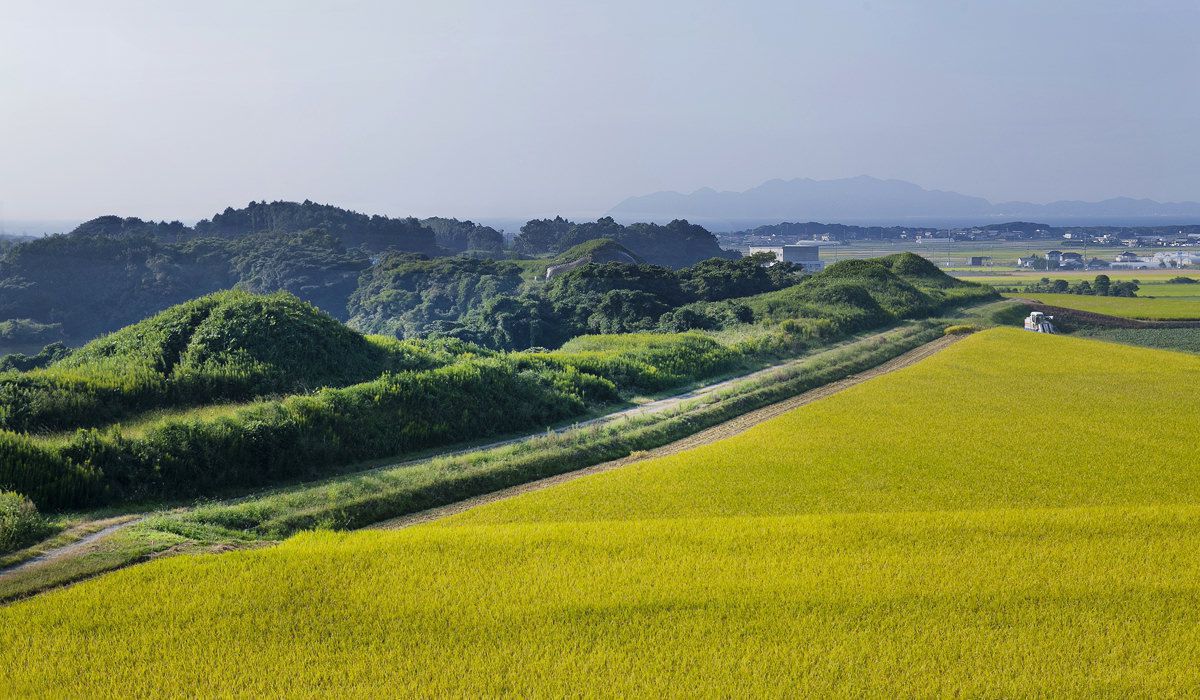 新原奴山古坟群的状况