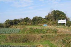 Picture：Katsuura Inoura Tomb and Katsuura Minenohata Tomb