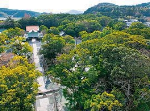 Picture：Hetsu-miya, Munakata Taisha