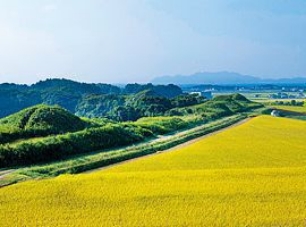 照片：新原奴山古坟群