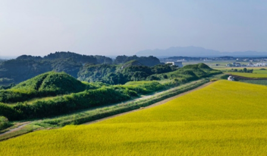 사진：신바루・누야마 고분군