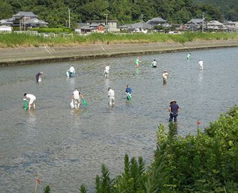 Preserving the rivers